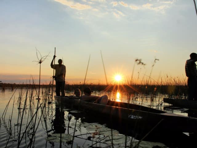 Safári Delta do Okavango Botswana