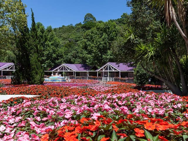 Sao paulo unique garden vila mediterranea