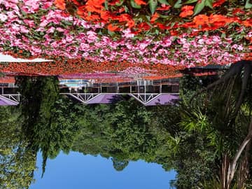 Unique Garden Unique Garden