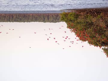Casa Venturas nos Lençóis Maranhenses em Família