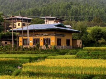 Terraço arroz Paro Butão