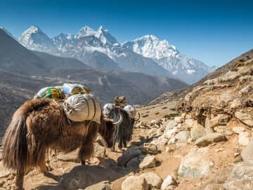 Viagem Himalaia turismo Nepal