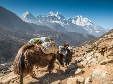 Viagem Himalaia turismo Nepal