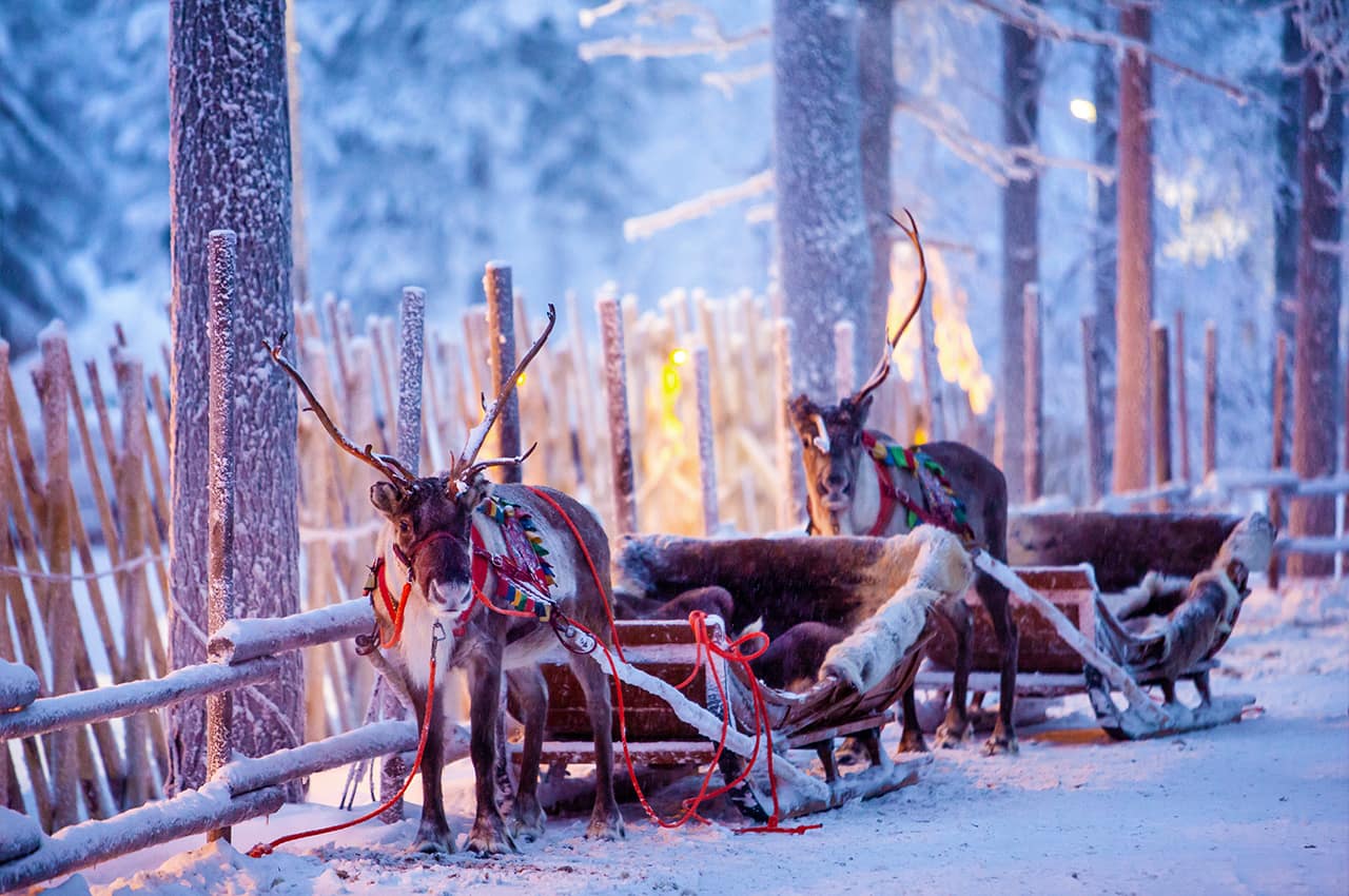 Finlandia rovaniemi neve renas