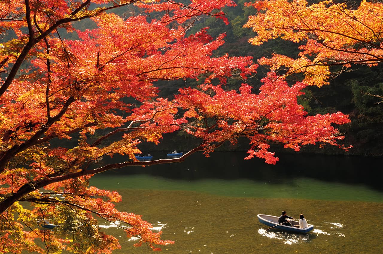 Outono em quioto