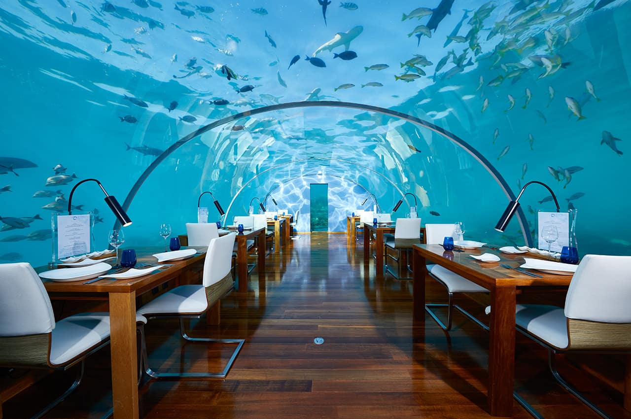 Conrad maldives rangali island ithaa undersea restaurant