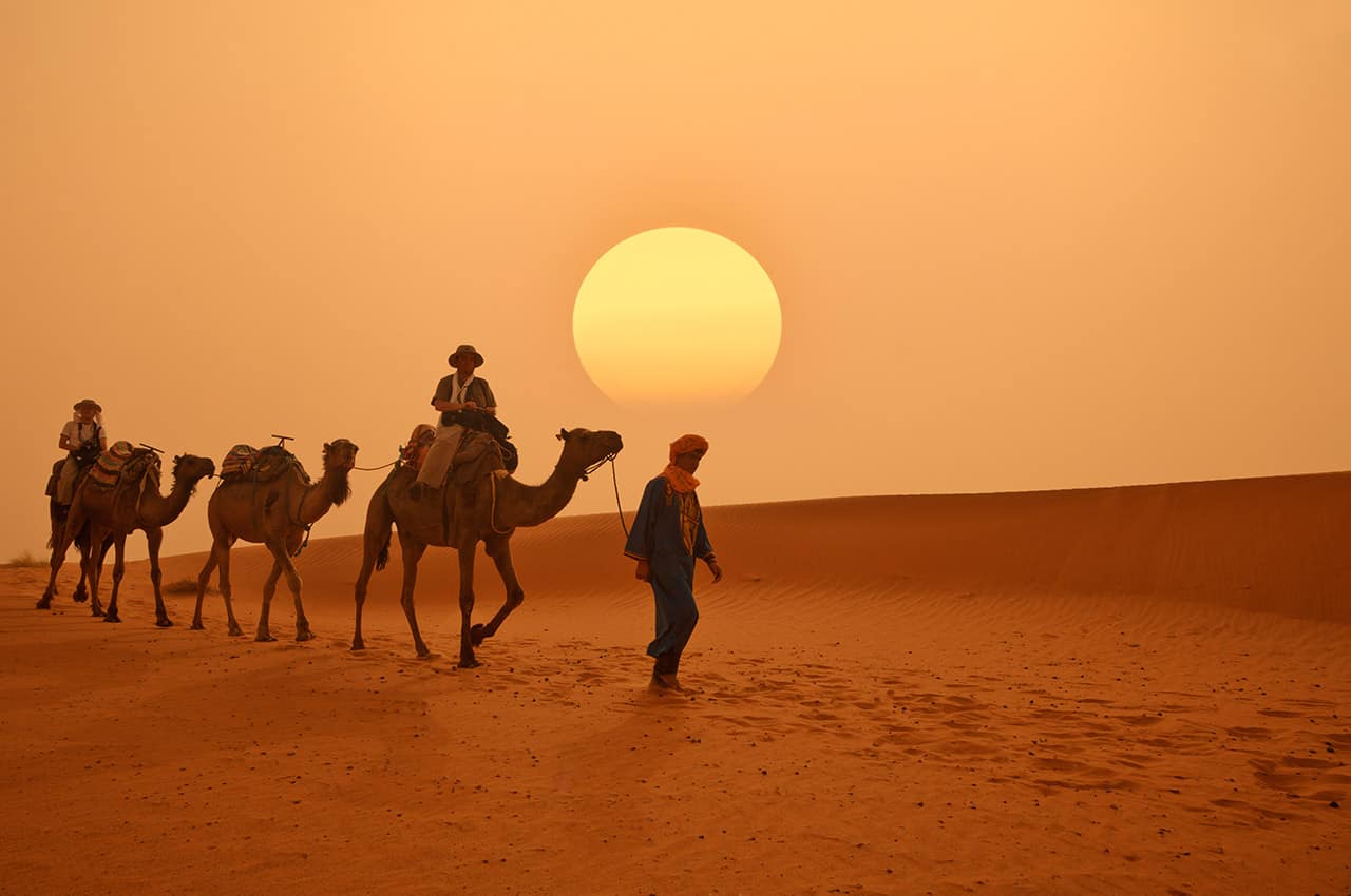 Beduíno e camelos