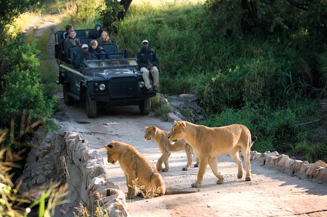 Lions sands africa do sul