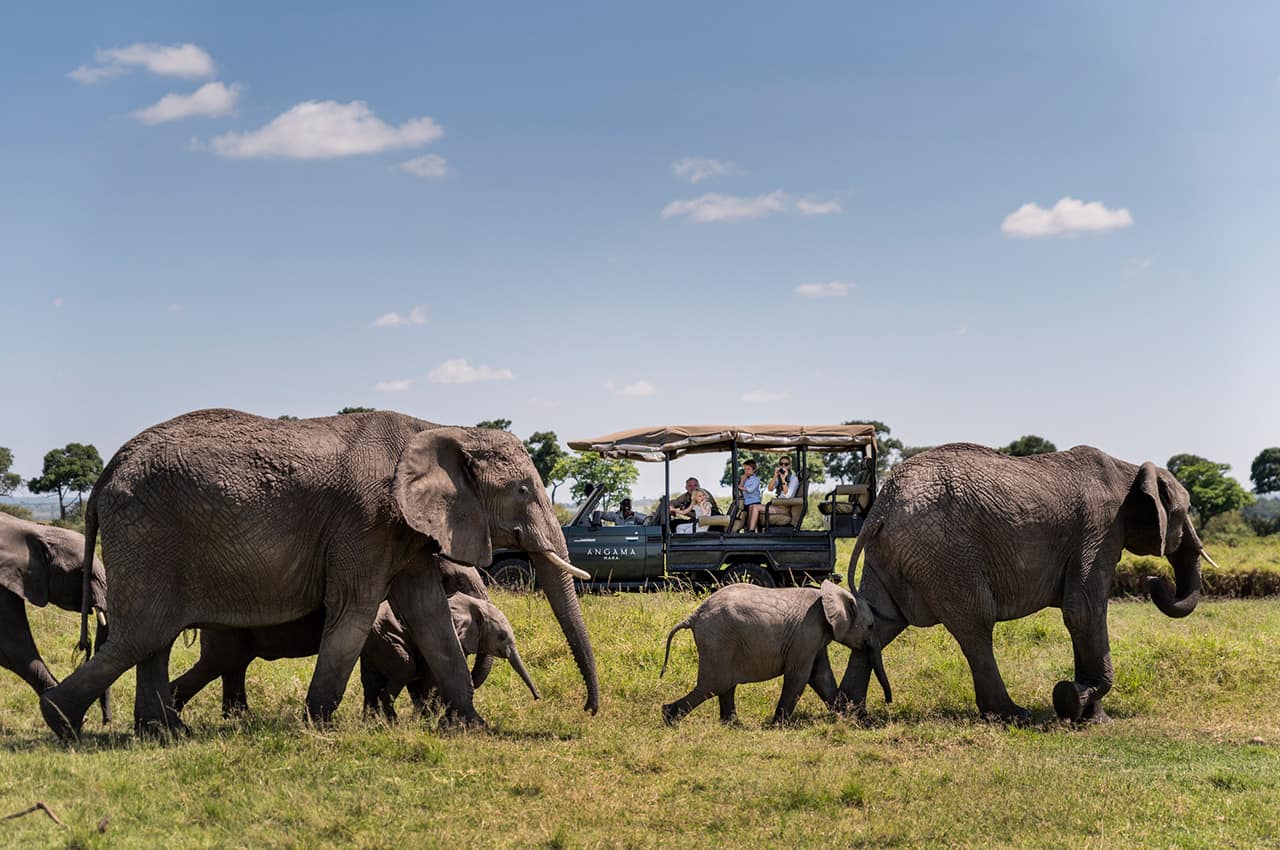 Lodges angama