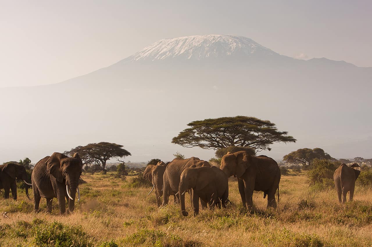 Monte Kilimanjaro, Quênia