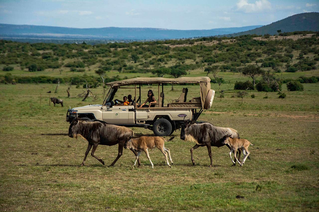 Quenia porini ol kinyei safari cottages safari carro