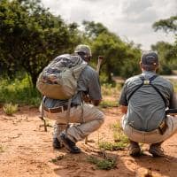 Africa do sul kapama river lodge bush walk