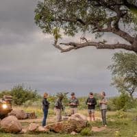 Africa do sul kapama river lodge coffee stop