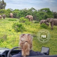 Africa do sul pgb kapama lodge safari logo