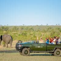 Africadosul grupo safari elefante