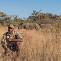 zimbabue jenmanselect bigcavecamp rinoceronte avistamento