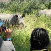 zimbabue jenmanselect bigcavecamp rinoceronte foto