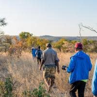 zimbabue jenmanselect bigcavecamp rinoceronte procura