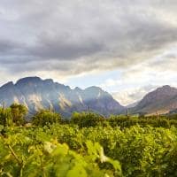 Africadosul la cle montanha vinicola