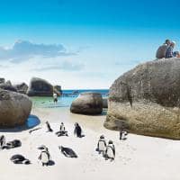 Boulders Beach, África do Sul