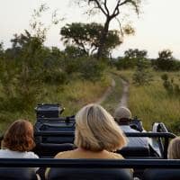 Cheetah plains game drive