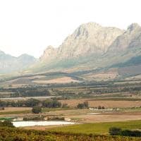 Vinícola em Western Cape Province