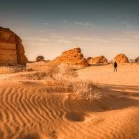 Arabia saudita al farid palace alula shutterstock