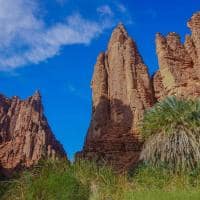 Arabia saudita wadi disah tabuk