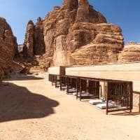 Banyan tree alula c