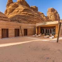 Banyan tree alula d