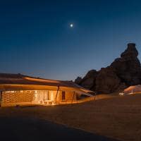 Banyan tree alula f