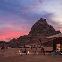Banyan tree alula i