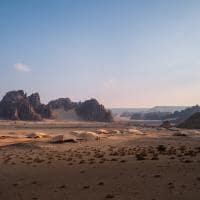 Banyan tree alula k