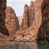 Banyan tree alula l