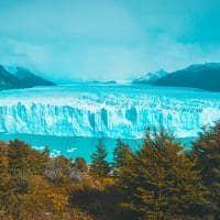 Argentina elcalafate geleira floresta
