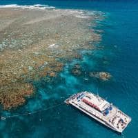 Australia cairns grande barreira corais barco