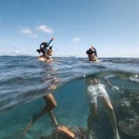 Australia cairns grande barreira corais snorkeling