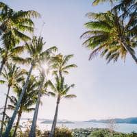 Hamilton island paisagem