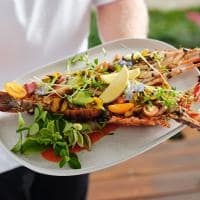 Luxury lodges of australia orpheus island lodge great barrier reef pelorus private island dinning ch