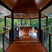 Silky oaks lodge australia the daintree jungle perch