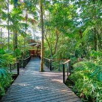 Silky oaks lodge australia the daintree lodge reception