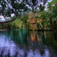 Silky oaks lodge australia the daintree silky oaks lodge