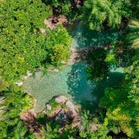 Silky oaks lodge australia the daintree swimming pool