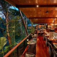 Silky oaks lodge australia the daintree treehouse restaurant