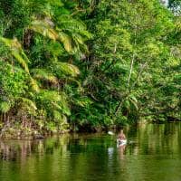 Ta daintree rainforest australia queensland lago