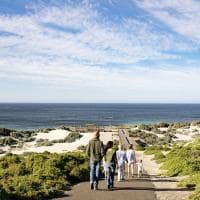 Tourism australia south australia kangaroo island seal bay