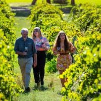 Tourism australia south australia langmeil winery vinicola