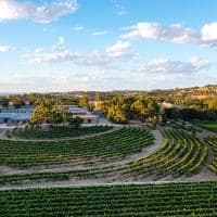 Tourism australia south australia the yalumba wine room vista aerea