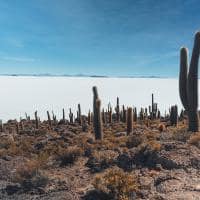 Bolivia salar de uyuni ilha vista