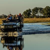 Botswana great plains duba explorers camp safari